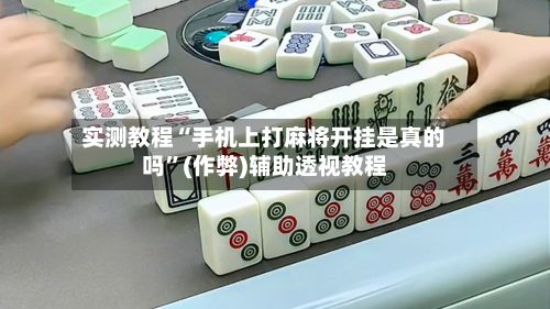 实测教程“手机上打麻将开挂是真的吗”(作弊)辅助透视教程-第2张图片