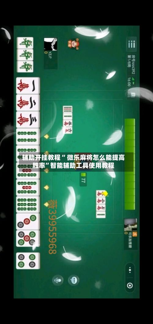 辅助开挂教程“ 微乐麻将怎么能提高胜率”智能辅助工具使用教程-第2张图片