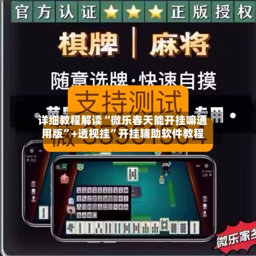 详细教程解读“微乐春天能开挂嘛通用版”+透视挂”开挂辅助软件教程-第3张图片
