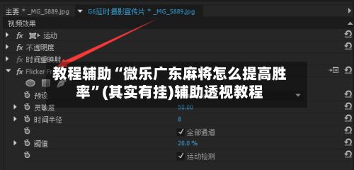 教程辅助“微乐广东麻将怎么提高胜率	”(其实有挂)辅助透视教程-第2张图片
