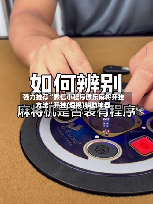强力推荐“微信小程序微乐麻将开挂方法	”开挂(透视)辅助神器-第2张图片