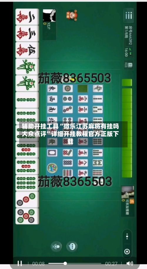 辅助开挂工具“微乐江苏麻将有挂吗大众点评”详细开挂教程官方正版下载-第3张图片
