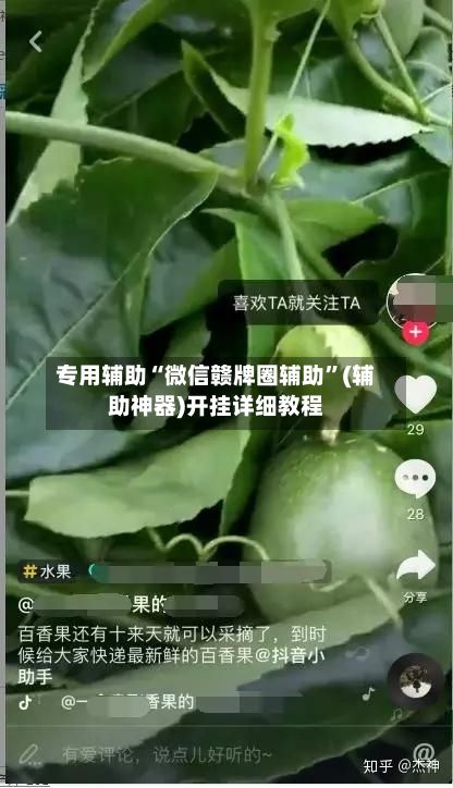 专用辅助“微信赣牌圈辅助	”(辅助神器)开挂详细教程-第2张图片