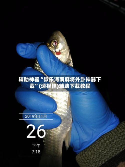 辅助神器“微乐海南麻将外卦神器下载”(透视挂)辅助下载教程-第2张图片