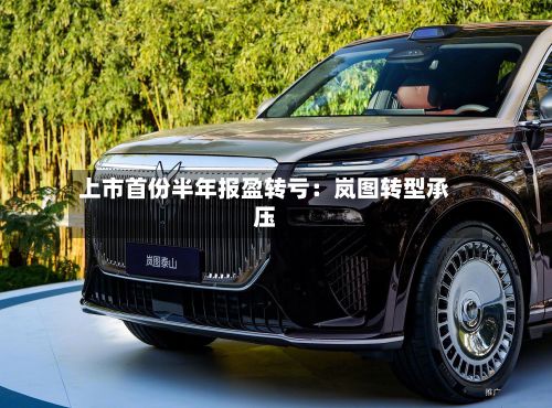 上市首份半年报盈转亏：岚图转型承压-第2张图片