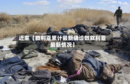 近来【叙利亚累计最新确诊数叙利亚最新情况】-第1张图片