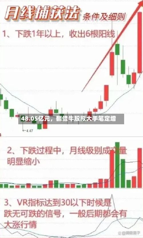 48.05亿元，翻倍牛股拟大手笔定增